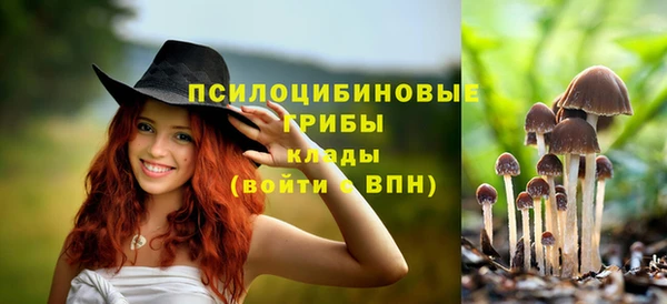 гашиш Беломорск