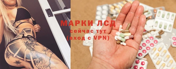 ПСИЛОЦИБИНОВЫЕ ГРИБЫ Белокуриха