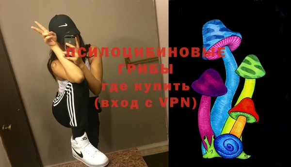 ПСИЛОЦИБИНОВЫЕ ГРИБЫ Белокуриха