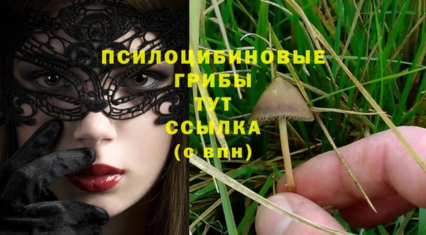 гашиш Беломорск