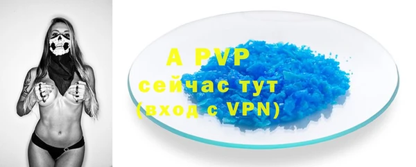 ПСИЛОЦИБИНОВЫЕ ГРИБЫ Белокуриха