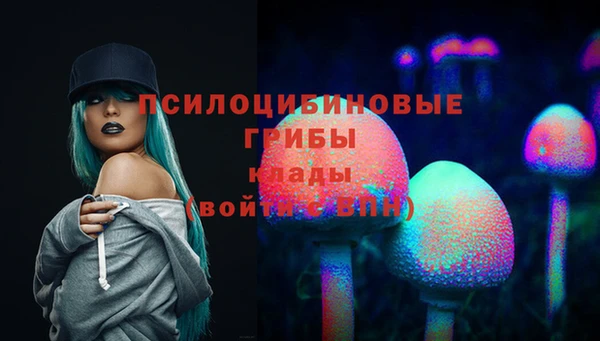 ПСИЛОЦИБИНОВЫЕ ГРИБЫ Белокуриха