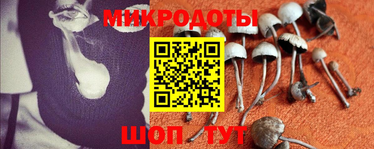 Псилоцибиновые грибы Cubensis  продажа наркотиков  Пыть-Ях  Вход с VPN 